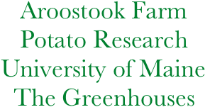    Aroostook Farm
   Potato Research
University of Maine
  The Greenhouses