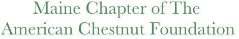          Maine Chapter of The 
  American Chestnut Foundation