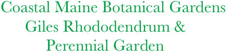  Coastal Maine Botanical Gardens      
       Giles Rhododendrum &
            Perennial Garden