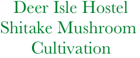         Deer Isle Hostel
     Shitake Mushroom     
            Cultivation