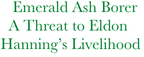      Emerald Ash Borer
    A Threat to Eldon   
  Hanning’s Livelihood
     