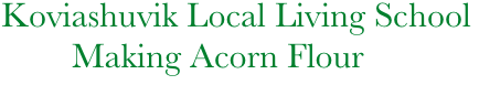     Koviashuvik Local Living School
            Making Acorn Flour
