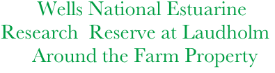        Wells National Estuarine 
Research  Reserve at Laudholm
      Around the Farm Property