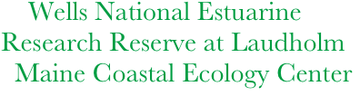     Wells National Estuarine 
Research Reserve at Laudholm 
  Maine Coastal Ecology Center