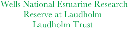 Wells National Estuarine Research  
          Reserve at Laudholm 
              Laudholm Trust