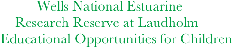           Wells National Estuarine 
    Research Reserve at Laudholm 
Educational Opportunities for Children