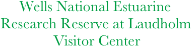        Wells National Estuarine 
  Research Reserve at Laudholm
                Visitor Center