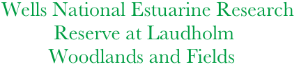 Wells National Estuarine Research  
          Reserve at Laudholm
         Woodlands and Fields