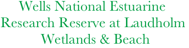      Wells National Estuarine 
Research Reserve at Laudholm                              
           Wetlands & Beach