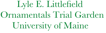            Lyle E. Littlefield
    Ornamentals Trial Garden
         University of Maine