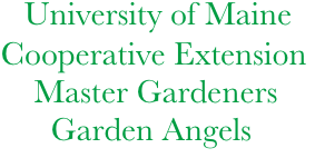             University of Maine  
           Cooperative Extension
               Master Gardeners
                 Garden Angels