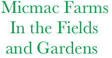   Micmac Farms
    In the Fields
   and Gardens