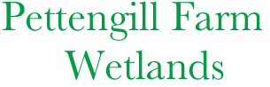 Pettengill Farm
      Wetlands