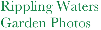 Rippling Waters Garden Photos