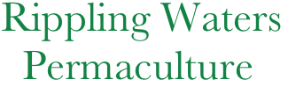 Rippling Waters
  Permaculture