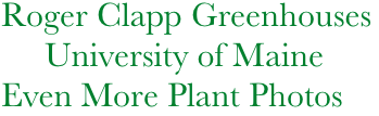       Roger Clapp Greenhouses
           University of Maine
      Even More Plant Photos
