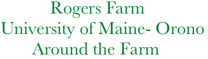            Rogers Farm
University of Maine- Orono
       Around the Farm