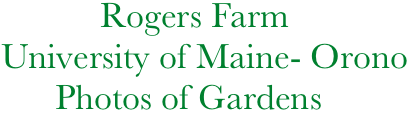            Rogers Farm
University of Maine- Orono
      Photos of Gardens