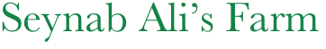 Seynab Ali’s Farm
