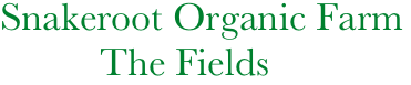      Snakeroot Organic Farm
               The Fields