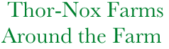             Thor-Nox Farms
           Around the Farm