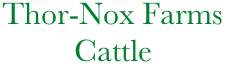             Thor-Nox Farms
                     Cattle