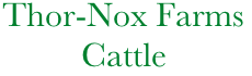 Thor-Nox Farms
                     Cattle