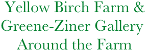          Yellow Birch Farm &
        Greene-Ziner Gallery
            Around the Farm
