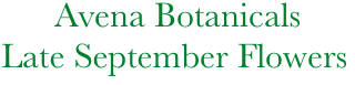              Avena Botanicals
       Late September Flowers