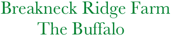     Breakneck Ridge Farm
            The Buffalo