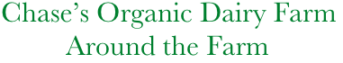        Chase’s Organic Dairy Farm
                Around the Farm