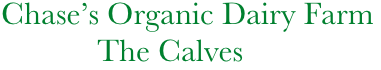        Chase’s Organic Dairy Farm
                   The Calves