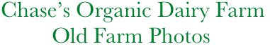        Chase’s Organic Dairy Farm
                Old Farm Photos