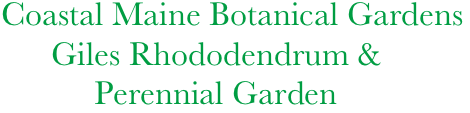  Coastal Maine Botanical Gardens      
       Giles Rhododendrum &
            Perennial Garden