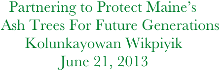 Partnering to Protect Maine’s        
Ash Trees For Future Generations
      Kolunkayowan Wikpiyik
               June 21, 2013