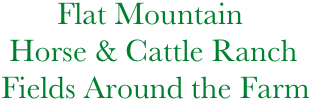              Flat Mountain
       Horse & Cattle Ranch
      Fields Around the Farm