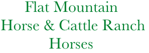              Flat Mountain
       Horse & Cattle Ranch
                   Horses