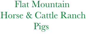             Flat Mountain
       Horse & Cattle Ranch
                     Pigs