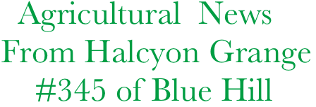   Agricultural  News From Halcyon Grange   
    #345 of Blue Hill