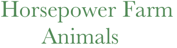 Horsepower Farm
       Animals