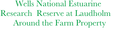        Wells National Estuarine 
Research  Reserve at Laudholm
      Around the Farm Property