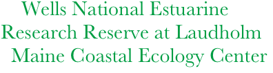     Wells National Estuarine 
Research Reserve at Laudholm 
  Maine Coastal Ecology Center