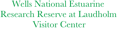        Wells National Estuarine 
  Research Reserve at Laudholm
                Visitor Center