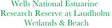      Wells National Estuarine 
Research Reserve at Laudholm                              
           Wetlands & Beach