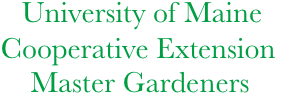             University of Maine  
           Cooperative Extension
               Master Gardeners