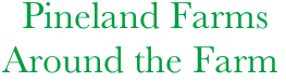       Pineland Farms
    Around the Farm
             

     