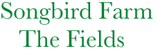           Songbird Farm
             The Fields