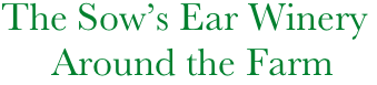   The Sow’s Ear Winery
       Around the Farm