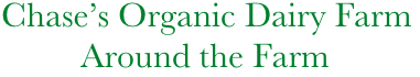        Chase’s Organic Dairy Farm
                Around the Farm