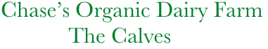        Chase’s Organic Dairy Farm
                   The Calves